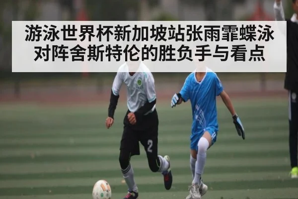 游泳世界杯新加坡站张雨霏蝶泳对阵舍斯特伦的胜负手与看点（kaiyun）